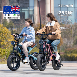 Vélo électrique pour enfants et adolescents Allemagne 24H KOOLUX X9 Mini 250W 48V 13Ah, pneus larges, 25 km/h, autonomie 80 km, VTT, certifié CE - Product Image 2