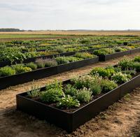 Jardinière en acier galvanisé sans fond, bac à fleurs en métal, jardinière de jardin extérieure, résistante à la rouille, pour fleurs et légumes