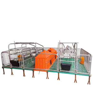 Usado Ferro Fundido <span class=keywords><strong>Pig</strong></span> Pen Sow Farrowing Crate Plástico Animal Nascimento Cama Equipamentos de Fazenda para Venda Porco Gaiola & Tabela Obstétrica - Product Image 5