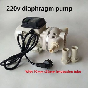 Electric Self Priming Diaphragm Metering <strong>Pump</strong> 220V Acid Alkali Resistant Precise Dosing Urea Solution Filling Transfer <strong>Pump</strong> - Product Image 4