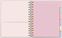 Carnet de réunion personnalisé avec logo, couverture rigide spirale, ligné, avec onglets – Cadeau de bureau pour collègue, patron, papeterie