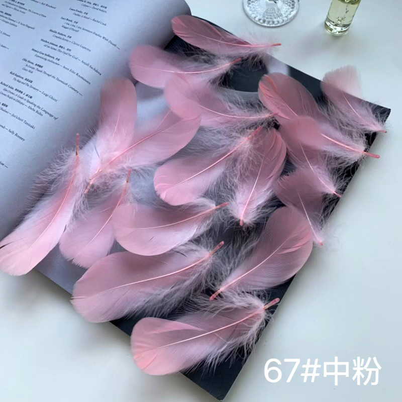 67 polvo medio-1 precio monocromo-50 configurar lote