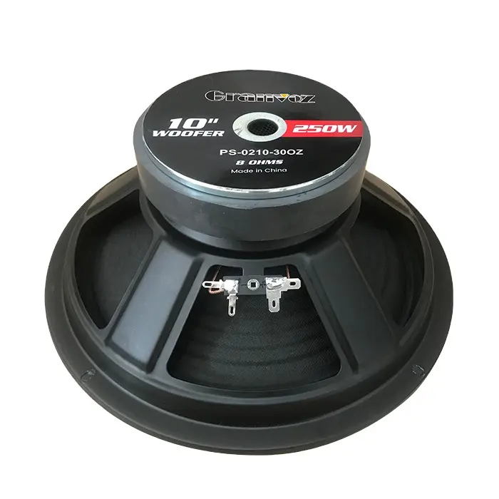 Magnents poderoso 10 "Falante 200W 4/8 ohm subwoofer de áudio