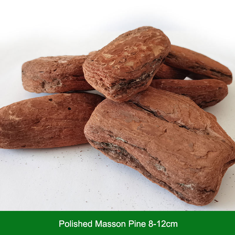 Pin masson poli 8-12cm