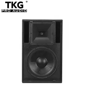 TKG DS-112M 12 inch 300 watt professional sound system monitor speaker floor speaker