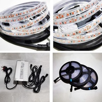Éclairage de Croissance LED IP67 IP68 Étanche 24V 48V pour Plantes d'Aquarium