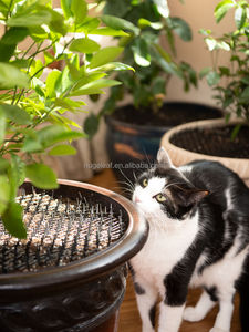 <strong>Cat</strong> Scat Mat Anti <strong>Cat</strong> Dog Bird <strong>Spikes</strong> Plastic Prickle Strips Reusable Outdoor Garden Harmless - Product Image 6