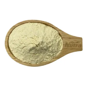 Professional production mung bean protein isolate organic healthy plant protein powder