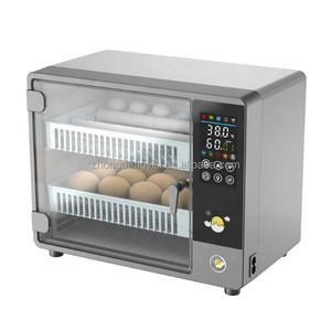 Equipo de Avicultura, Mini Incubadora de 24 Huevos para Codornices, Gansos y Patos, Incubadora de Huevos de Gallina, 220V Doble - Product Image 1