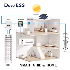 Deye ESS 51,2 V 100Ah LiFePO4 Paquete de batería Sistema de almacenamiento de energía solar para el hogar con contenedor dividido de EE. UU. UE - Product Image 5