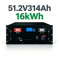 8000 Siklus 15kw 16kw Baterai Lifepo4 51.2V 48V 300Ah 314Ah 200Ah BMS Inverter Lithium Ion Penyimpanan Energi Paket Baterai Surya