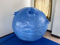 Costume gonflable en PVC BeiLe, nouveau style, motif myrtille, avec veste à boutons métalliques, pour adultes, pour fêtes et décorations