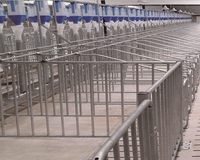 Enclos à porcs galvanisé de haute qualité, box de gestation pour porcs, équipement de clôture durable pour élevage porcin