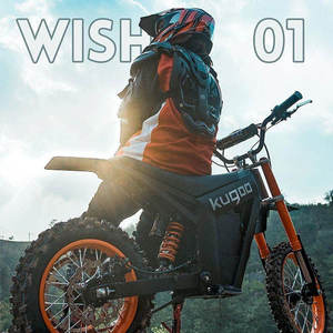 Wish01 Bicicleta Eléctrica de Alta Velocidad con Batería de Litio de 48V 21AH, Cuadro de Aluminio, 7 Velocidades, Suspensión Hidráulica Doble - Product Image 2