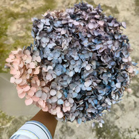 Gaya Ins bunga selamanya diawetkan Anna Hydrangea untuk dekorasi bunga dinding pernikahan