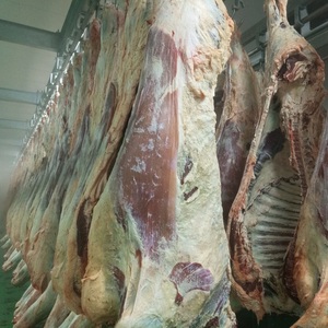 <span class=keywords><strong>ราง</strong></span>แขวนเนื้อแกะสำหรับโรงฆ่าสัตว์ส่วนประกอบสำคัญสำหรับการฆ่าอุปกรณ์ - Product Image 6