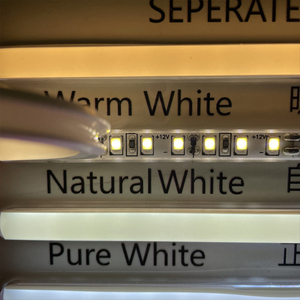 Nuovo arrivo di seconda generazione 12V 6*9 8*10mm tubo al Neon in Silicone separato per luci al Neon Flex personalizzate striscia Led - Product Image 5