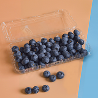 Boîte d'emballage de myrtilles 250g en PET recyclé, directement de l'usine, pour fruits frais, conteneur à clapet pour myrtilles