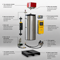 Autoclave industriel vertical à vapeur de 200 kg, à gaz, basse pression, à tubes de chaleur, avec sortie d'eau chaude automatique, chaudière FUTURE BOILER