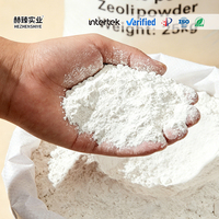 Poudre de zéolite blanche à surface modifiée, matériau adsorbant pour revêtement, SiO2 4A 5A 325-1250 Mesh