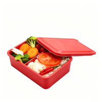 Boîtes à lunch scolaires modulaires personnalisables avec logo, compatibles micro-ondes et sans BPA, sans plastique, pour enfants, récipient alimentaire chauffable