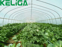 Serre en plastique de 30 x 10 m à vendre, taille personnalisée, serre agricole