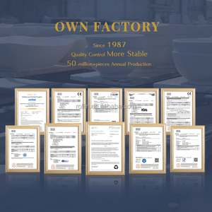 أطباق بورسلين للفنادق والمطاعم، أدوات مائدة سيراميك بيضاء اللون، أطباق غداء 12 بوصة للمطاعم - Product Image 4