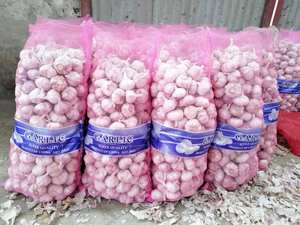 Ajo a granel <span class=keywords><strong>Comprar</strong></span> Precio al por mayor Proveedor de ajo de China para el mercado de Guyana - Product Image 2