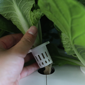 Dọc tháp hệ thống trồng phát triển soilless - Product Image 6