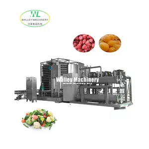 Factory Price Industrial iqf Vegetable And Fruit Single-drum Spiral Quick Freezer Freezing Strawberry Grape Broccoli Machine