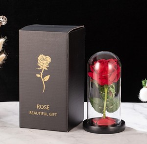 Regalo di San Valentino 2026 OEM Rosa in Plastica <span class=keywords><strong>con</strong></span> Cupola LED, Gypsophila, Rosa Essiccata, Fiori Artificiali, Decorazione Floreale Direttamente dalla Fabbrica - Product Image 1