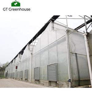 Tunel Plastico Inverna dero-Agri cultura - Product Image 6