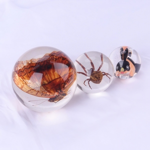 Presse-papiers en résine fait main avec spécimen d'insecte, collection nature personnalisée, décoration de bureau, cadeau pour la maison ou le bureau - Product Image 3