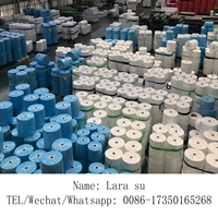 Biologisch Afbreekbare Gaaszakken Voor Groenten En Fruit Mango-Groeiende Beschermingszakken Guave Beschermende Fruithoes