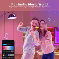 Offre Spéciale Alexa Alice Tuya Wifi Télécommande Rgb E27 Smart LED Ampoule Bluetooth Wireless App Control A19 Intelligent Light Blub
