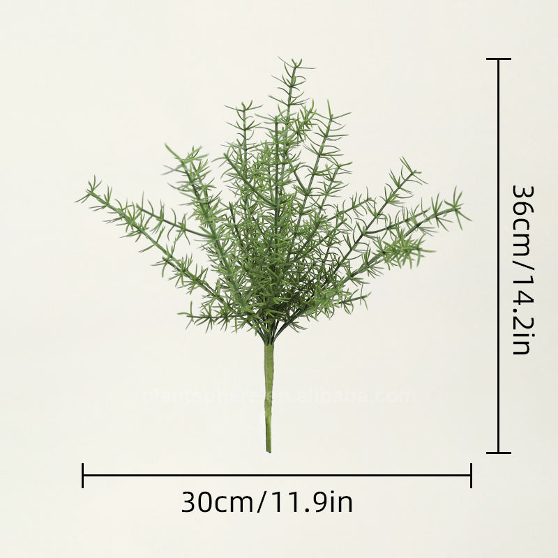 G22095-1  36cm/14.2in