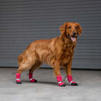 Chaussures durables faciles à enfiler en caoutchouc résistant à l'eau antidérapantes et réfléchissantes pour le sport de plein air, la randonnée et les bottes pour chiens