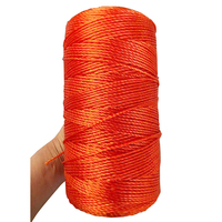 Offres Spéciales : Cordes de Pêche en Nylon Tressé à 3 Brins, Cordelette PE de 3 mm pour la Pêche et l'Emballage