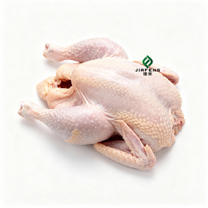 Fournisseur mondial de poulet entier <span class=keywords><strong>halal</strong></span> |   Exportation en gros de volaille congelée - Product Image 1