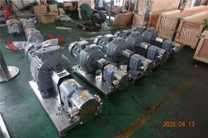 Bombas de Lóbulos de Chocolate, Carro Móvil, Control Continuo o por Variador de Frecuencia, Incluye Cubierta Impermeable, Mini Bomba Rotativa - Product Image 4