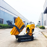 Kleine Raupenlader-Muldenkipper für landwirtschaft liche Betriebe Mini Dumper 500kg Motor lager pumpe 1 Jahr Garantie Kostenlose Lieferung