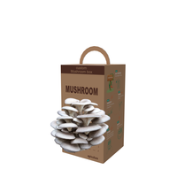 Boîte de culture de champignons personnalisée avec impression, kit de culture de champignons, boîtes d'emballage en carton pour la culture de champignons