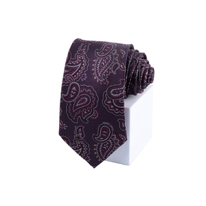 도매/사용자 정의 럭셔리 비즈니스 남자의 넥타이 페이즐리 패턴 100% 폴리에스터 클래식 비즈니스 넥타이 남성용 - Product Image 4