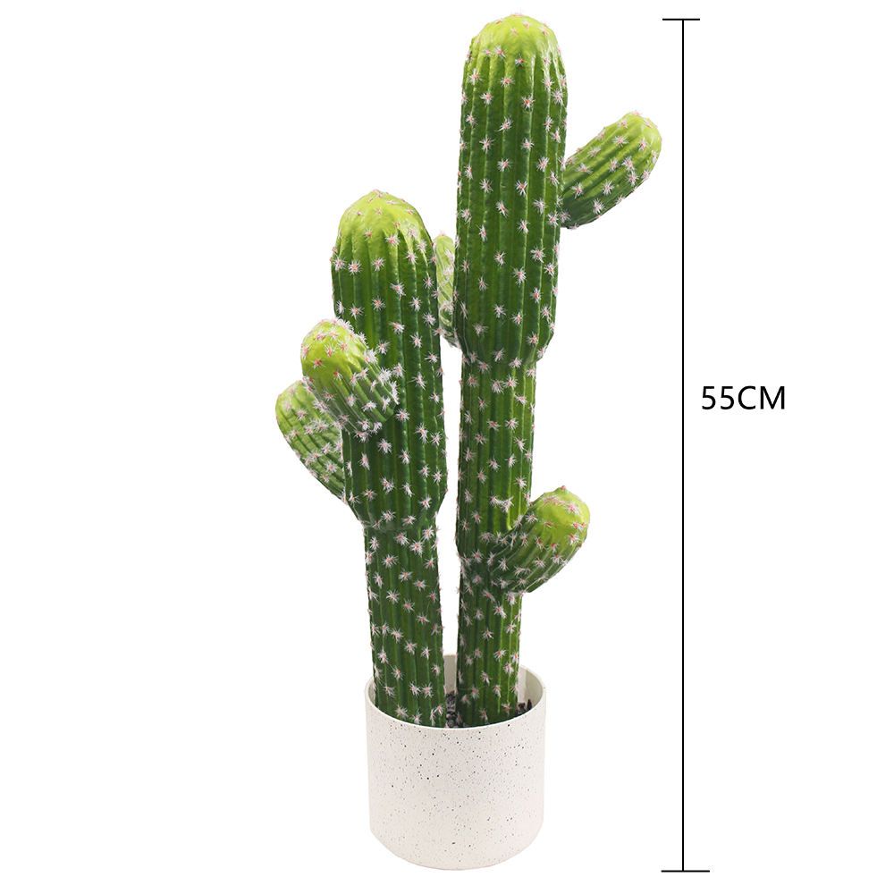 55CM