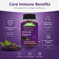 Zwarte Vlierbessen Gummies met Zink en Vitamine C Vegan Pectine Suikervrij Antioxidant voor Kinderen Volwassenen Private Label