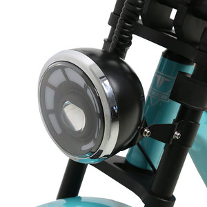 Moto électrique TXED E Nature Tour F 48V 250W avec moteur de moyeu arrière, poignées chauffantes d'hiver, plaque décorative en bois - Product Image 6