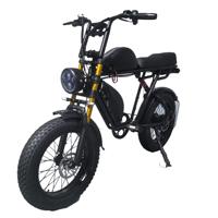 Lot d'usine 20 pouces vélo électrique motoneige plage pneu large Double batterie 48V moteur central moto à assistance électrique