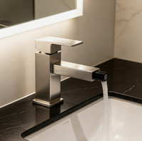 Robinet Mitigeur Bidet Moderne en Acier Inoxydable Chromé, Monocommande, à Poser sur Plan, avec Cartouche Céramique