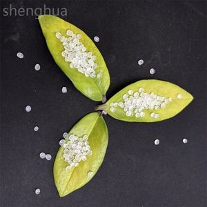 Homopolymère et copolymère de polypropylène de qualité moulée Sinopec/KUNLUN pour récipients alimentaires et accessoires d'outils électriques - Product Image 6