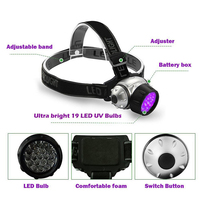 Lampe frontale UV QXMOVING à piles AAA, 19 LED 395nm, mini-détecteur portable d'urine d'animaux, lampe torche frontale UV